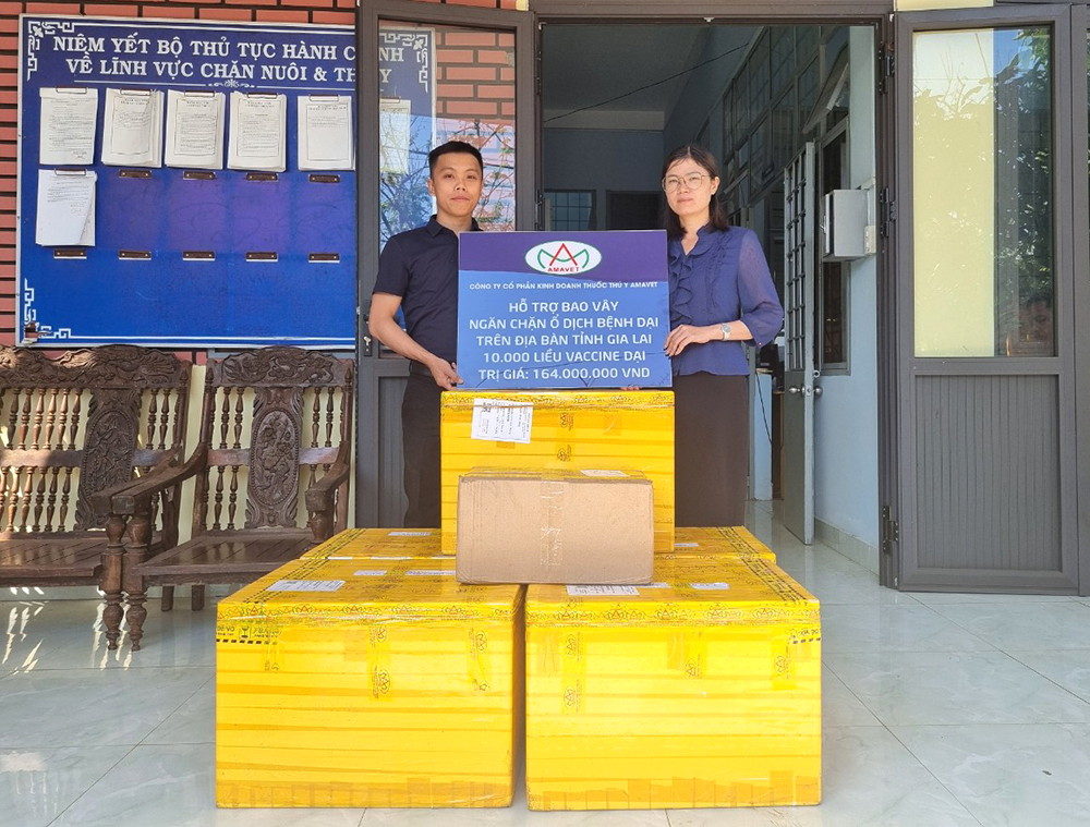 Amavet hỗ trợ Gia Lai 10.000 liều vacxin phòng bệnh dại